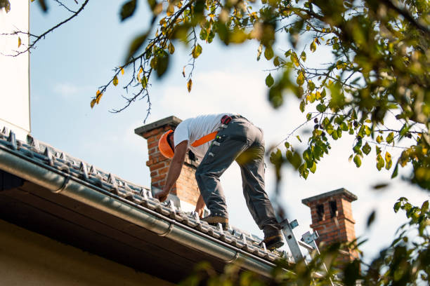 Best Rubber Roofing (EPDM, TPO)  in Richton, MS
