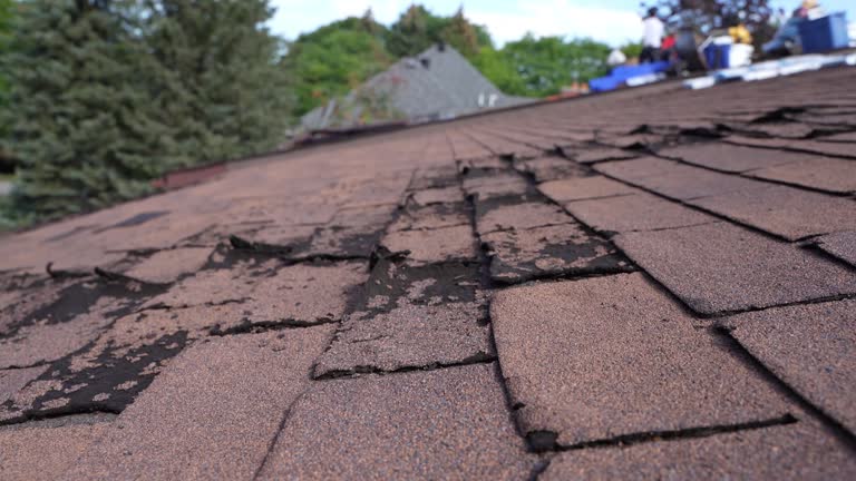 Best Asphalt Shingle Roofing  in Richton, MS