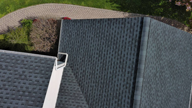 Best Skylight Installation and Repair  in Richton, MS