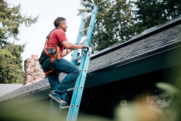 Best Roof Installation  in Richton, MS